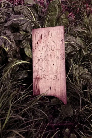 Постер к фильму "Dead Rabbit Skellington" #755603