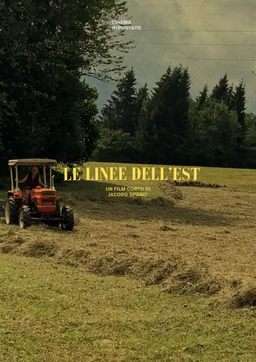 Постер к фильму "Le linee dell