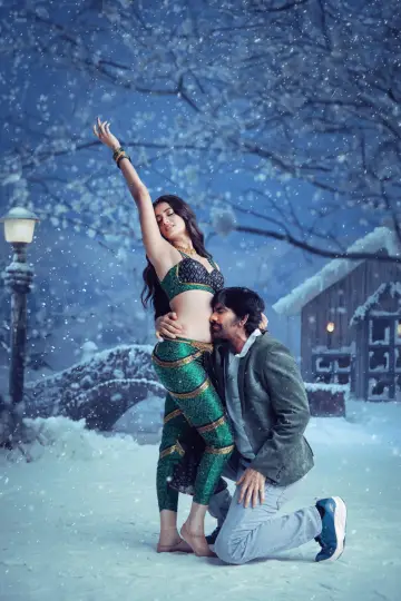 మిస్టర్‌ బచ్చన్ постер
