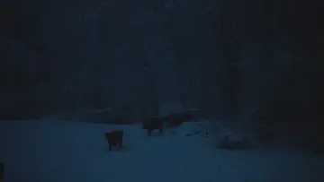 Задник к фильму "The Human Hibernation" #757295