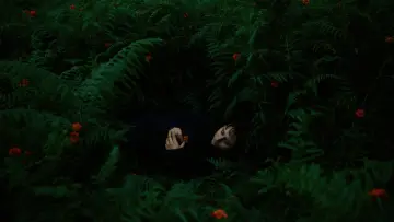 Задник к фильму "The Human Hibernation" #757298