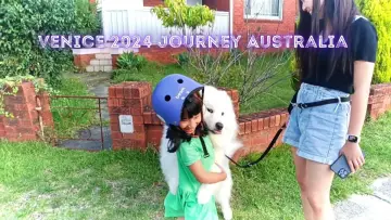 Задник к фильму "Venice 2024 Journey Australia" #1011473