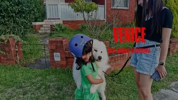 Задник к фильму "Venice 2024 Journey Australia" #355957