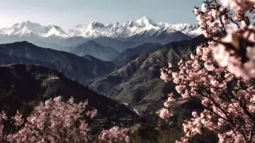 Задник к фильму "जुगनूमा" #783270
