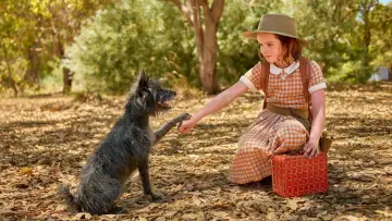 Задник к фильму "Мой любимый двортерьер" #683128