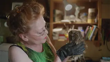 Задник к фильму "Finde Vogel" #353915