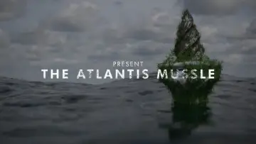 Задник к фильму "The Atlantis Mussels" #200754