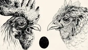 Задник к фильму "De Gallo Qui Ovavit" #1010390