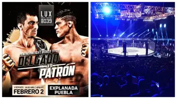 Задник к фильму "LUX Fight League 039" #352002