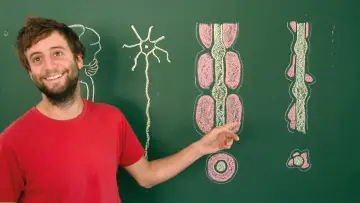 Задник к фильму "Toubib, 12 années dans la vie d