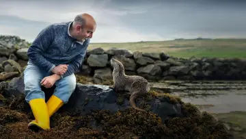 Задник к фильму "Billy & Molly: An Otter Love Story" #1015071