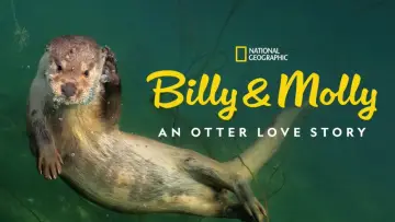 Задник к фильму "Billy & Molly: An Otter Love Story" #1015075