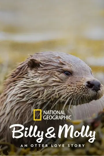Постер к фильму "Billy & Molly: An Otter Love Story" #1015083