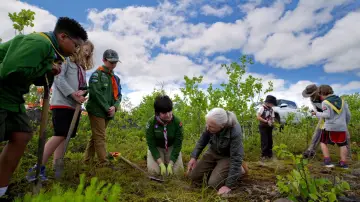 Задник к фильму "Jane Goodall: Reasons for Hope" #357579