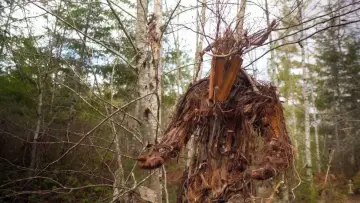 Задник к фильму "The Stickman