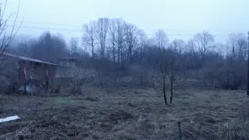 Задник к фильму "Ljuštura" #1015871