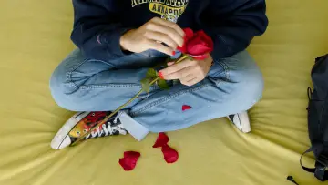 Задник к фильму "Me quiere, no me quiere" #367062