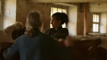 Kelly et les bergères постер