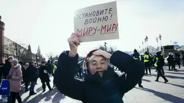 Задник к фильму "О караване и собаках" #1016359
