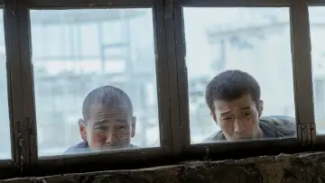 Задник к фильму "Чёрный пёс" #600698