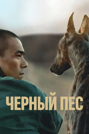 Постер к фильму "Чёрный пёс" #600748
