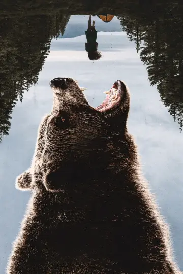 Постер к фильму "Ночь гризли" #516570