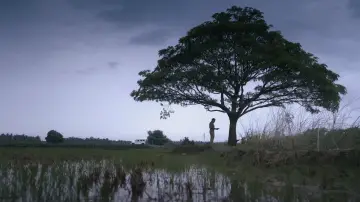 Задник к фильму "പ്രാവിൻകൂട് ഷാപ്പു" #807188