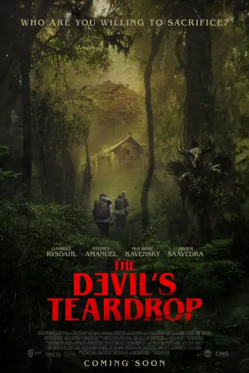 Постер к фильму "The Devil