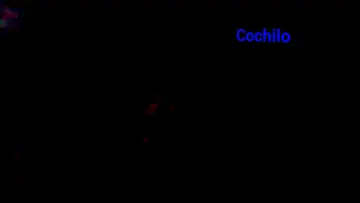 Задник к фильму "Cochilo" #369518