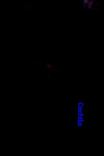 Постер к фильму "Cochilo" #369519