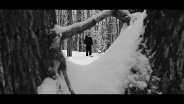 Задник к фильму "Echoes Of Ivory" #467559