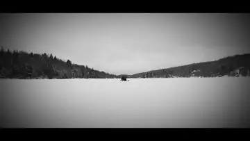 Задник к фильму "Echoes Of Ivory" #467560