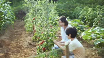 Задник к фильму "かくしごと" #484378