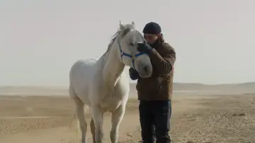 Задник к фильму "Убить монгольскую лошадь" #914808