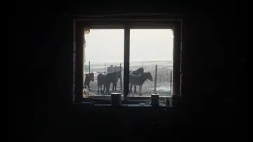 Задник к фильму "Убить монгольскую лошадь" #914812