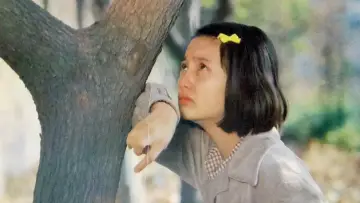 Задник к фильму "少男少女们" #1537278