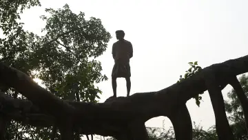Задник к фильму "பைசன் காளமாடன்" #786322