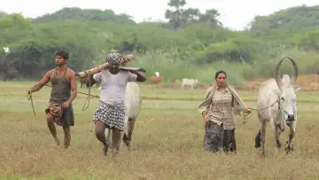 Задник к фильму "பைசன் காளமாடன்" #786331