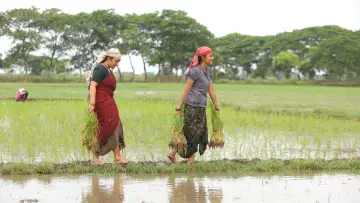 Задник к фильму "பைசன் காளமாடன்" #786333