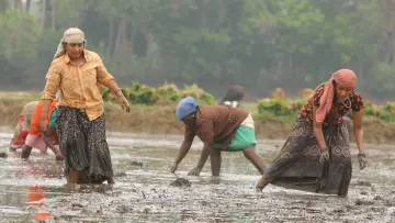 Задник к фильму "பைசன் காளமாடன்" #786348