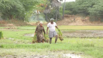 Задник к фильму "பைசன் காளமாடன்" #786350