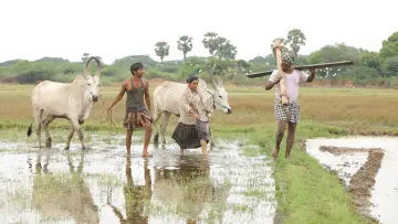 Задник к фильму "பைசன் காளமாடன்" #786354