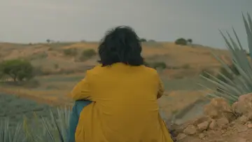 Задник к фильму "Agaves al alba" #468591