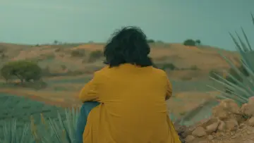 Задник к фильму "Agaves al alba" #477741