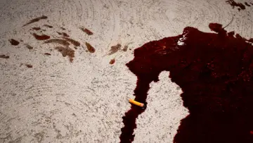 Задник к фильму "Blood Money Blues" #418488