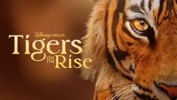 Задник к фильму "Tigers on the Rise" #1077541