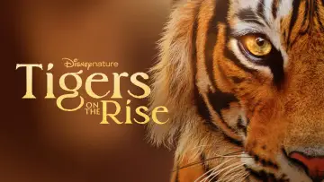 Задник к фильму "Tigers on the Rise" #1077542