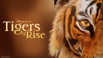 Задник к фильму "Tigers on the Rise" #1077544