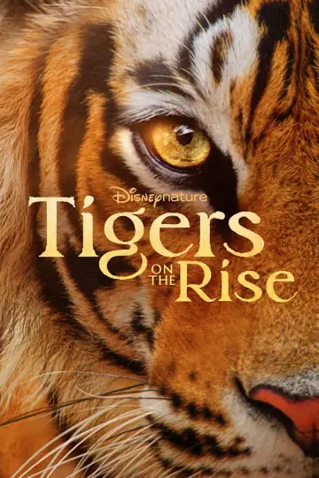 Постер к фильму "Tigers on the Rise" #1077551