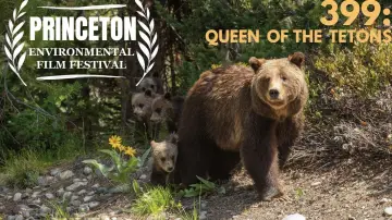 Задник к фильму "399: Queen of the Tetons" #469703